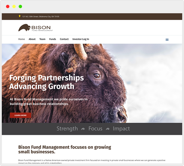 Bison Fund Management website design